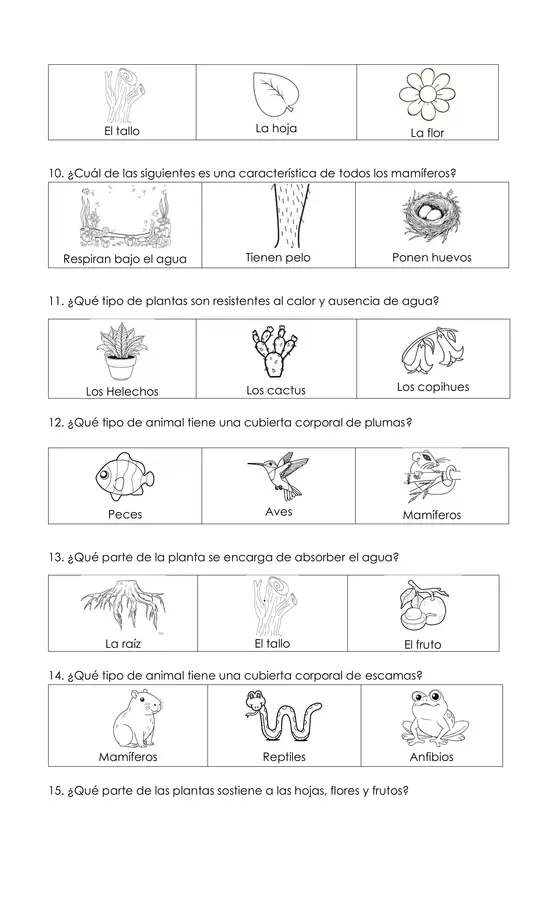 Prueba unidad 2 Ciencias 1ro básico