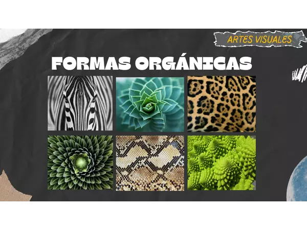 Formas Orgánicas - Artes Visuales