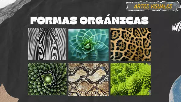Formas Orgánicas - Artes Visuales