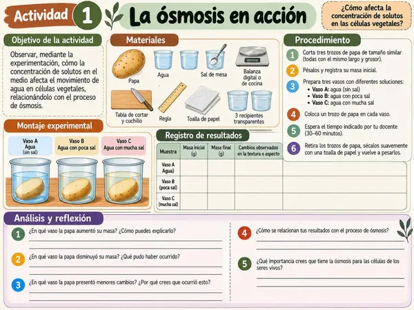 PPT - Mecanismos de intercambio de partículas entre las células