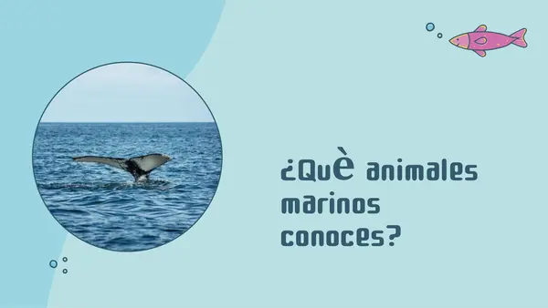 Animales del mar /lafken kulliñ