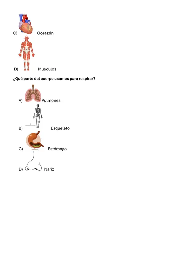evaluación ciencias 2do básico 