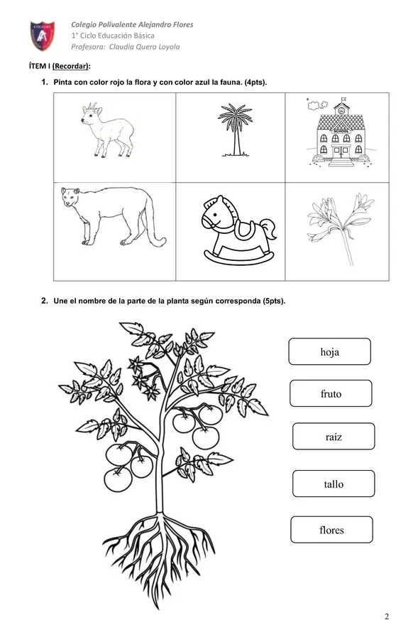 Prueba Plantas y Especies Chilenas