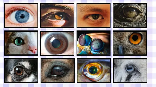 PPT Método Matte - Lección "OJO" Lectura inicial 