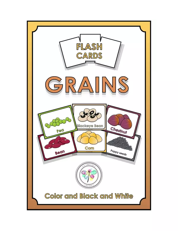 Flash Cards Grains Food Cut Color