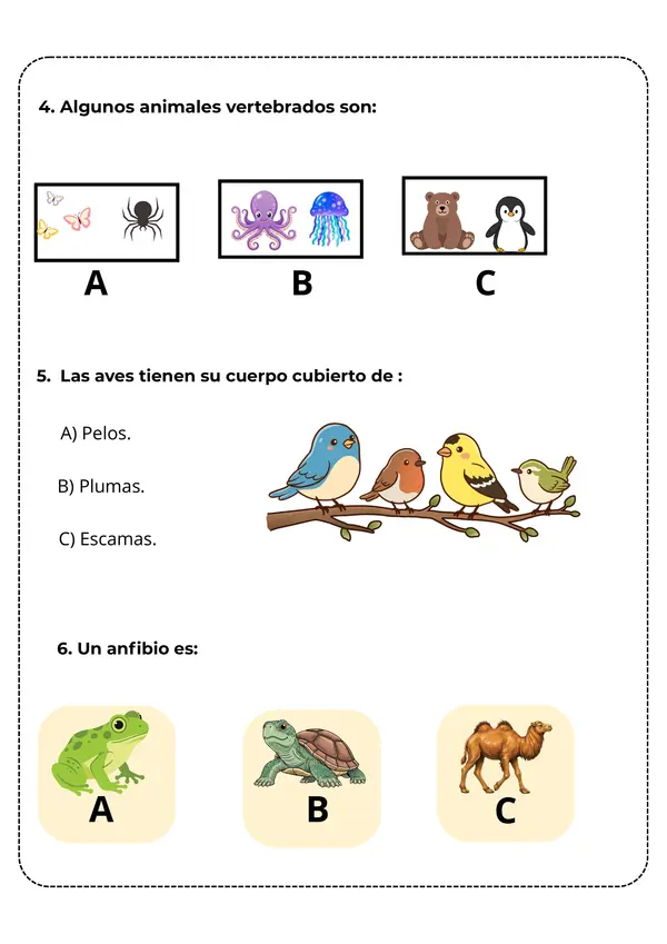 Evaluación sumativa: animales vertebrados e invertebrados y ciclo de la vida (2°Básico)