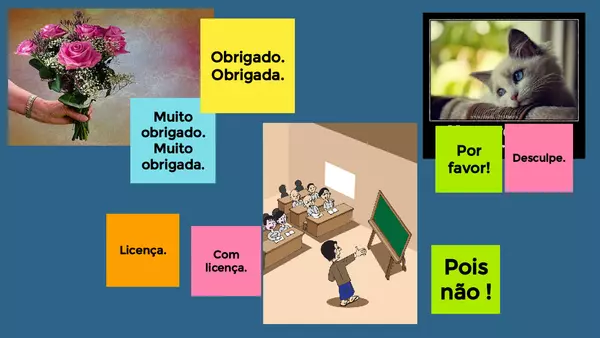 Nociones de portugués.