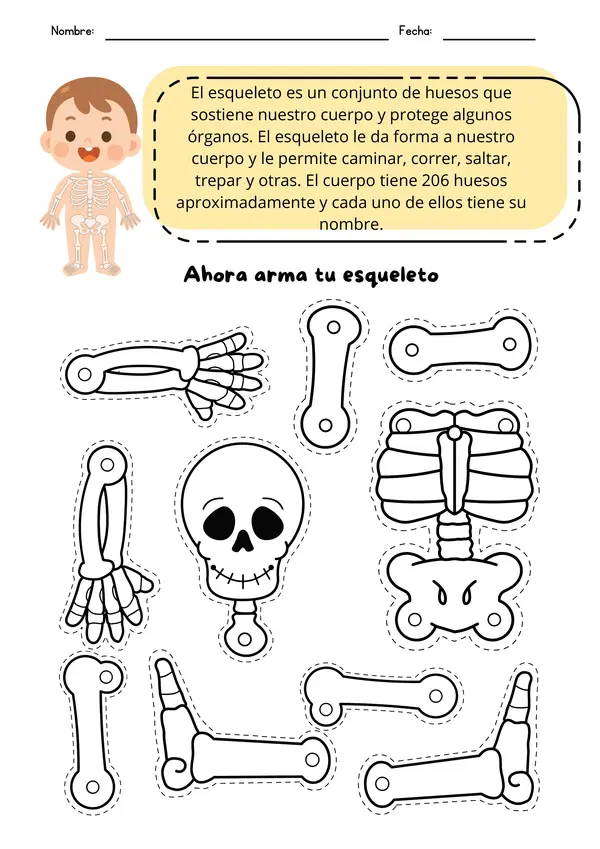 Actividad "Arma tu esqueleto" Ciencias