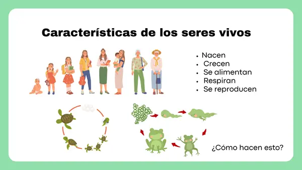 Seres vivos y Alimentación (Célula)