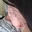 Flavia Portas Stefel - @flavia.portas.stefel
