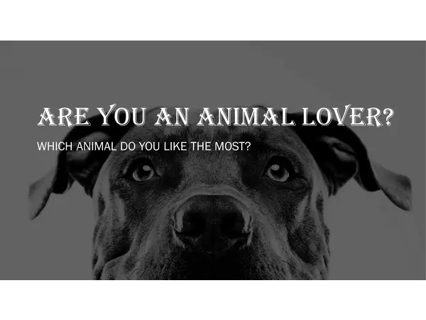 Are you an animal lover?