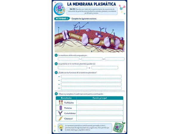 membrana plasmática 