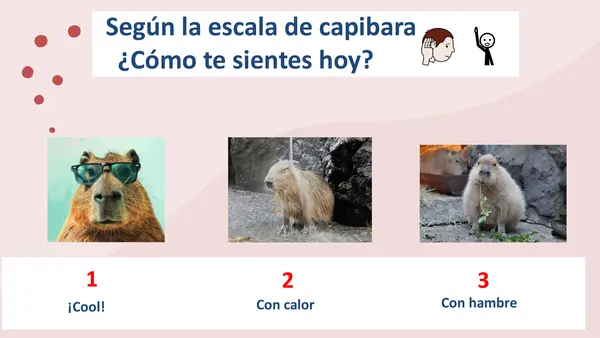 “Jugamos con números y dinero: Cuantificamos hasta 10.000 con apoyo visual”