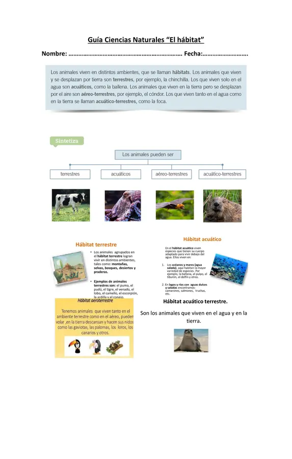 Hábitat de los animales 1° Básico