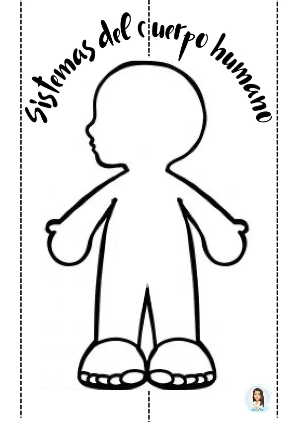 Sistemas del cuerpo humano