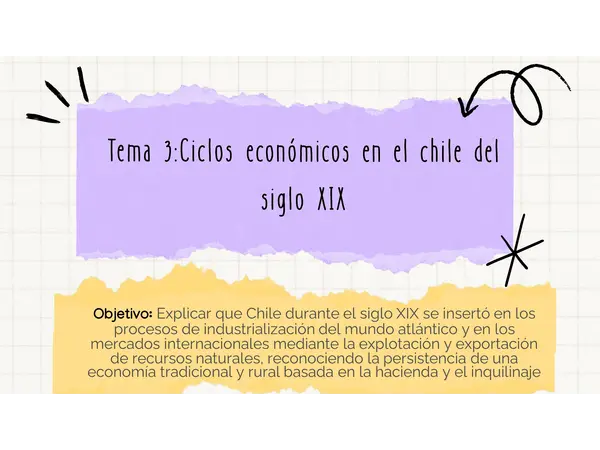 Ciclos económicos en el chile del siglo XIX 