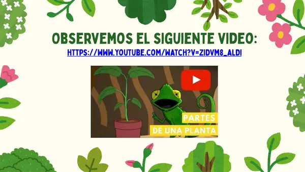 Plantas de la naturaleza