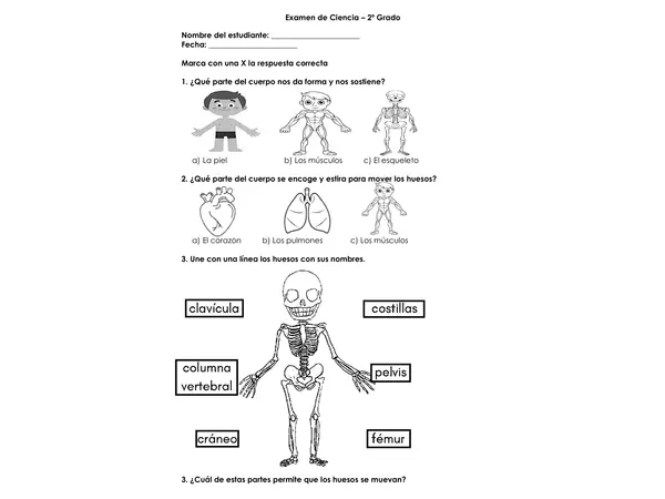 evaluacion ciencia