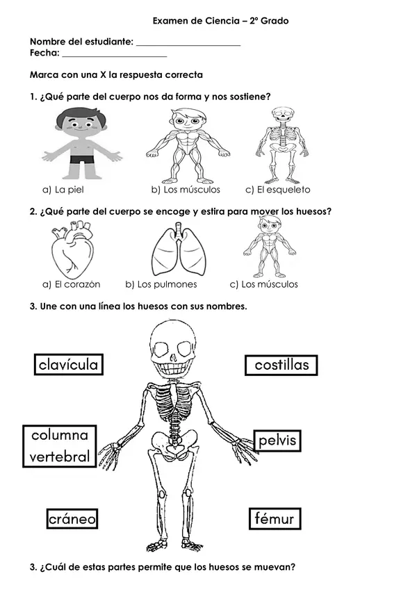 evaluacion ciencia