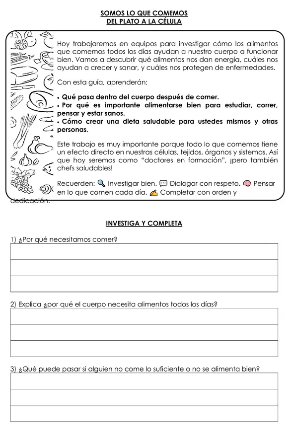 Evaluación Ciencias Naturales – “Somos lo que comemos: del plato a la célula” – 5° Básico, OA 5