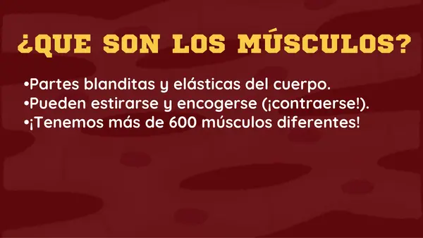 💪 Los músculos y su función – PowerPoint Ciencias Naturales