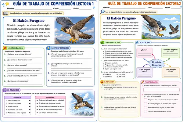 Reyes del aire. comprensión lectora 3 