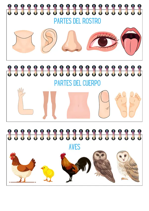 Cuadernillo de conceptos