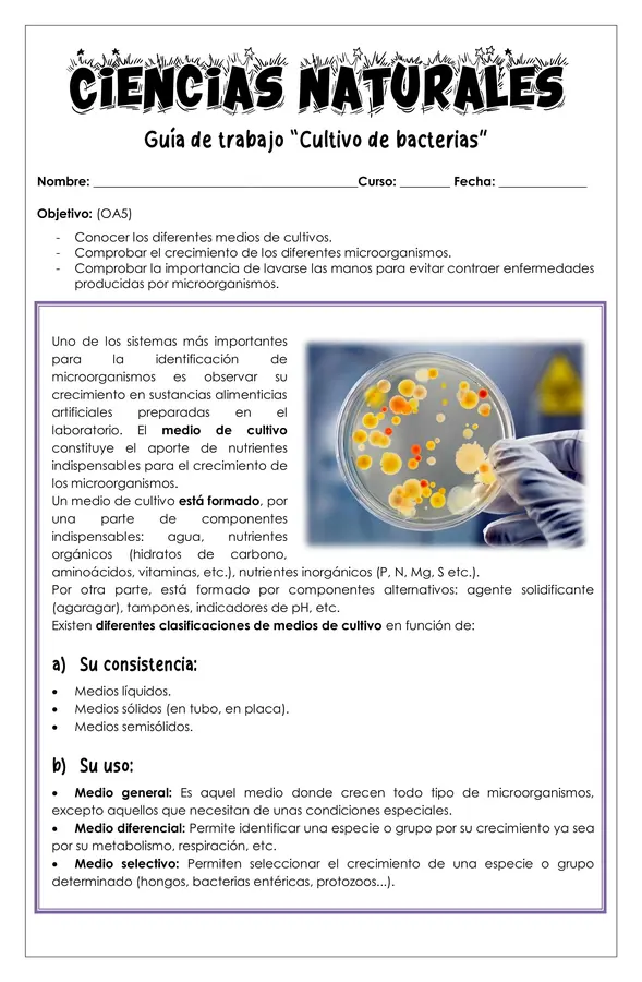 Guía de trabajo - Cultivo de bacterias 