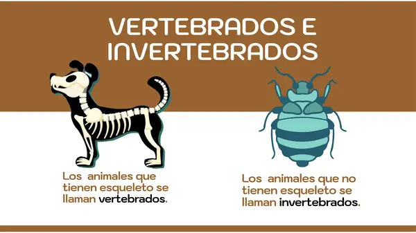 Vertebrados e invertebrados 