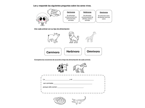 Guía de trabajo Unidad N°2 Ciencias naturales