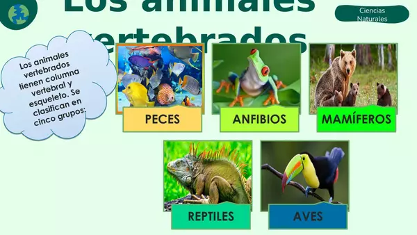 ANIMALES INVERTEBRADOS Y JUEGO ADIVINA QUIÉN