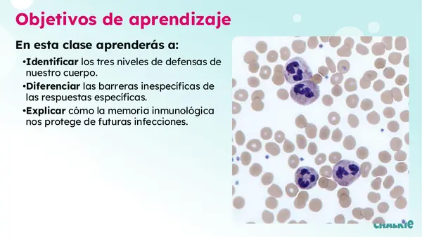 Barrera defensiva del cuerpo 