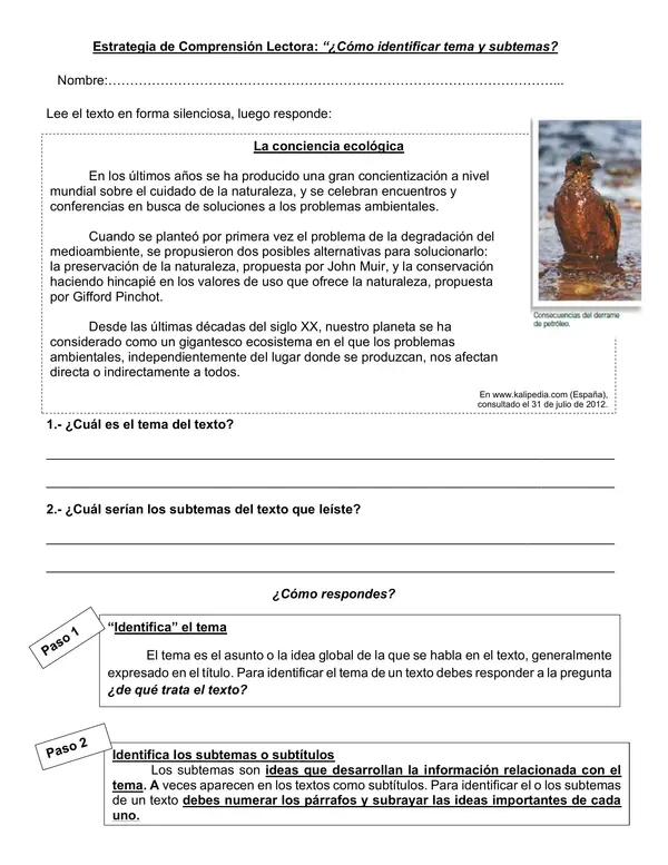 Guía de estrategia de comprensión "¿Cómo identificar tema y subtemas?"
