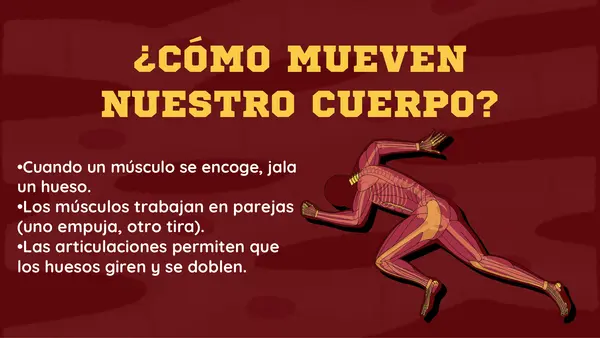 💪 Los músculos y su función – PowerPoint Ciencias Naturales