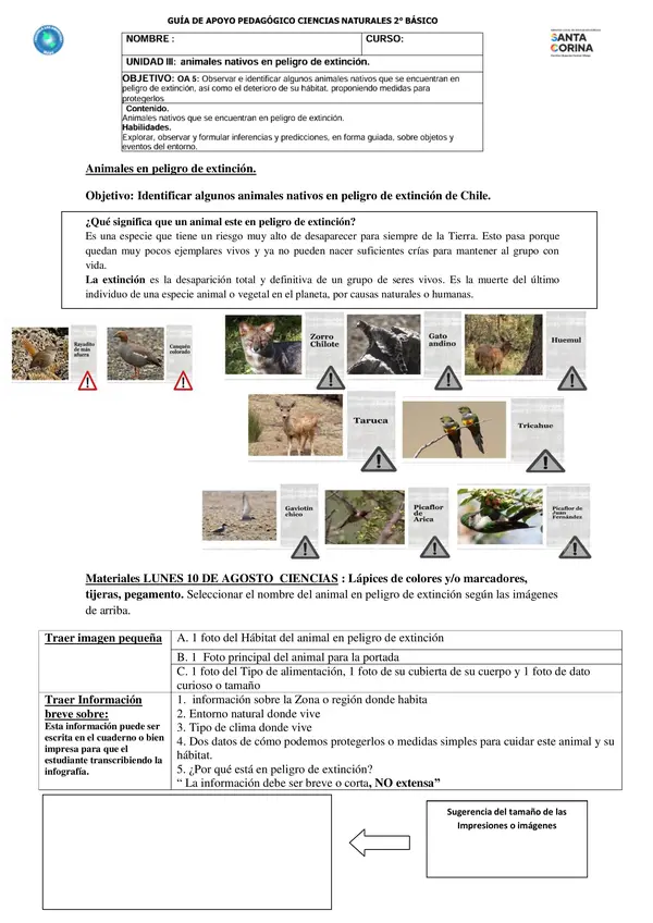 Guía de apoyo trabajo infografía : Animales en extinción