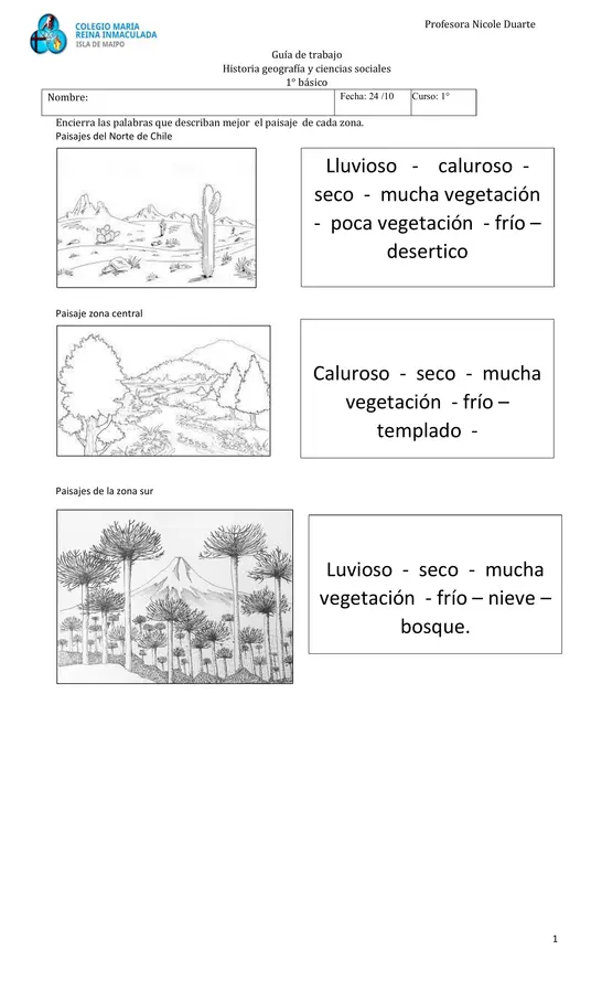 Elementos del paisaje de Chile