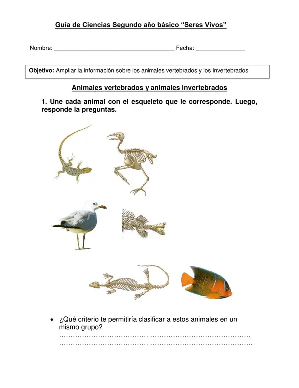 Guía de Ciencias Segundo año "Animales vertebrados e invertebrados"