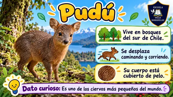 Animales de Chile 1° Básico Ciencias Naturales
