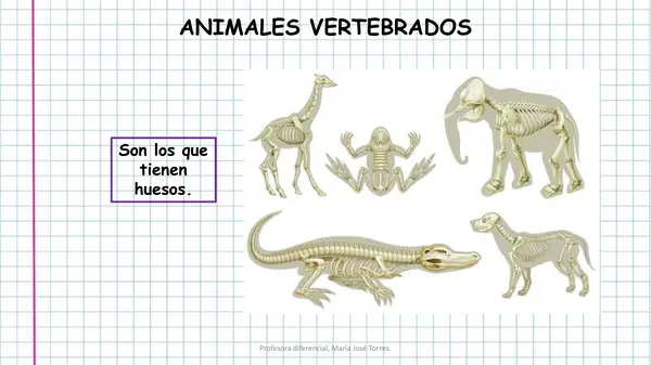 Cuadernillo de trabajo: Historia y ciencias (pictogramas)