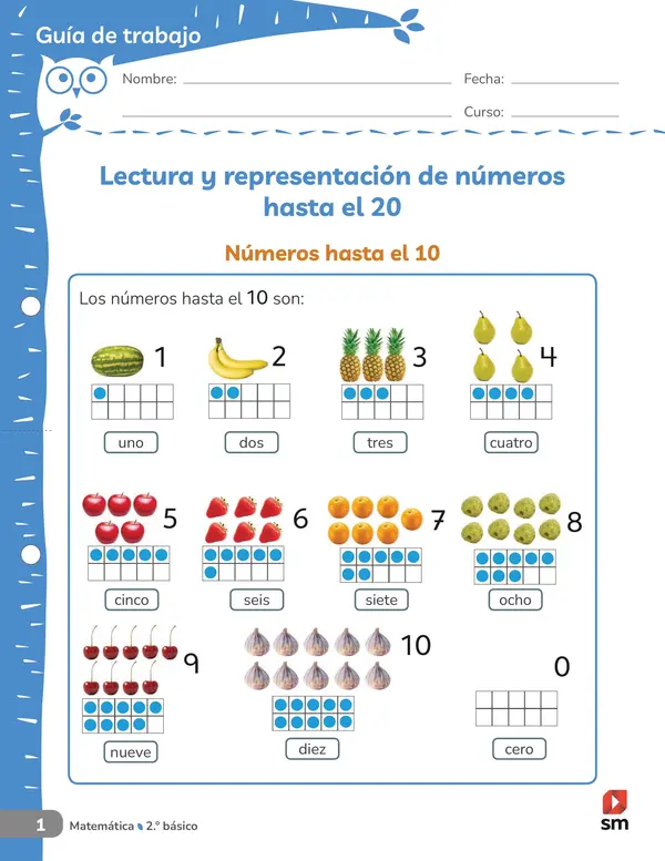 Lectura y representación de números hasta el 20 1°Básico