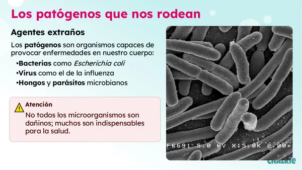 Barrera defensiva del cuerpo 
