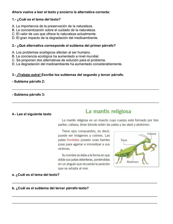 Guía de estrategia de comprensión "¿Cómo identificar tema y subtemas?"