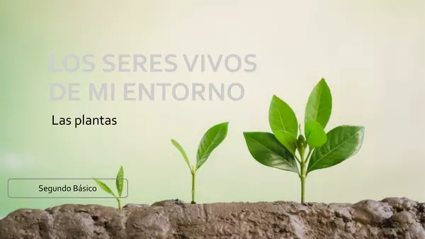 Las plantas
