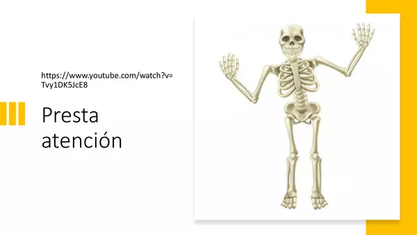 El esqueleto 4°básico OA3