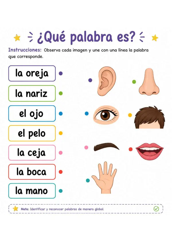 Partes del cuerpo- metodo global