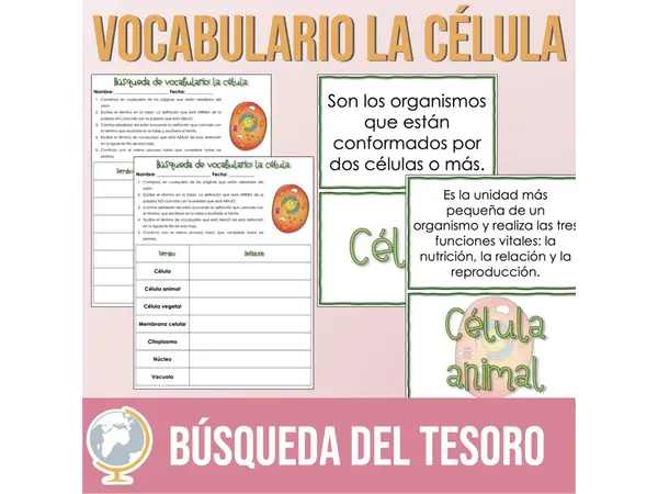 Vocabulario La célula Búsqueda del Tesoro