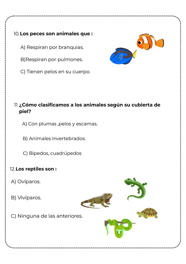 Evaluación sumativa: animales vertebrados e invertebrados y ciclo de la vida (2°Básico)