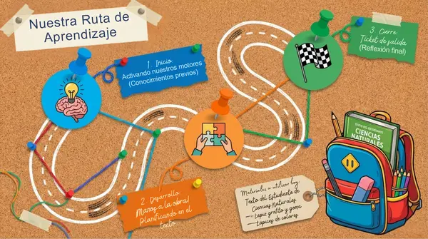 Clase 6 Lección 2  Planificar un festival "Cuidemos nuestro cuerpo" 2° Básico