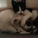 Emily Paola Mirano Ortiz de Orue - @emily.paola.mirano.o