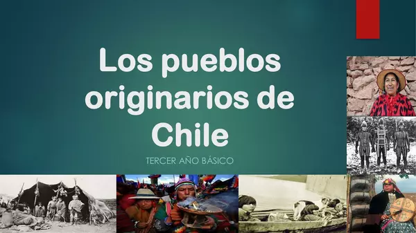 Pueblos originarios Chile